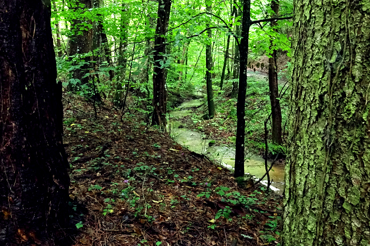 Höhle Bad Fischau
