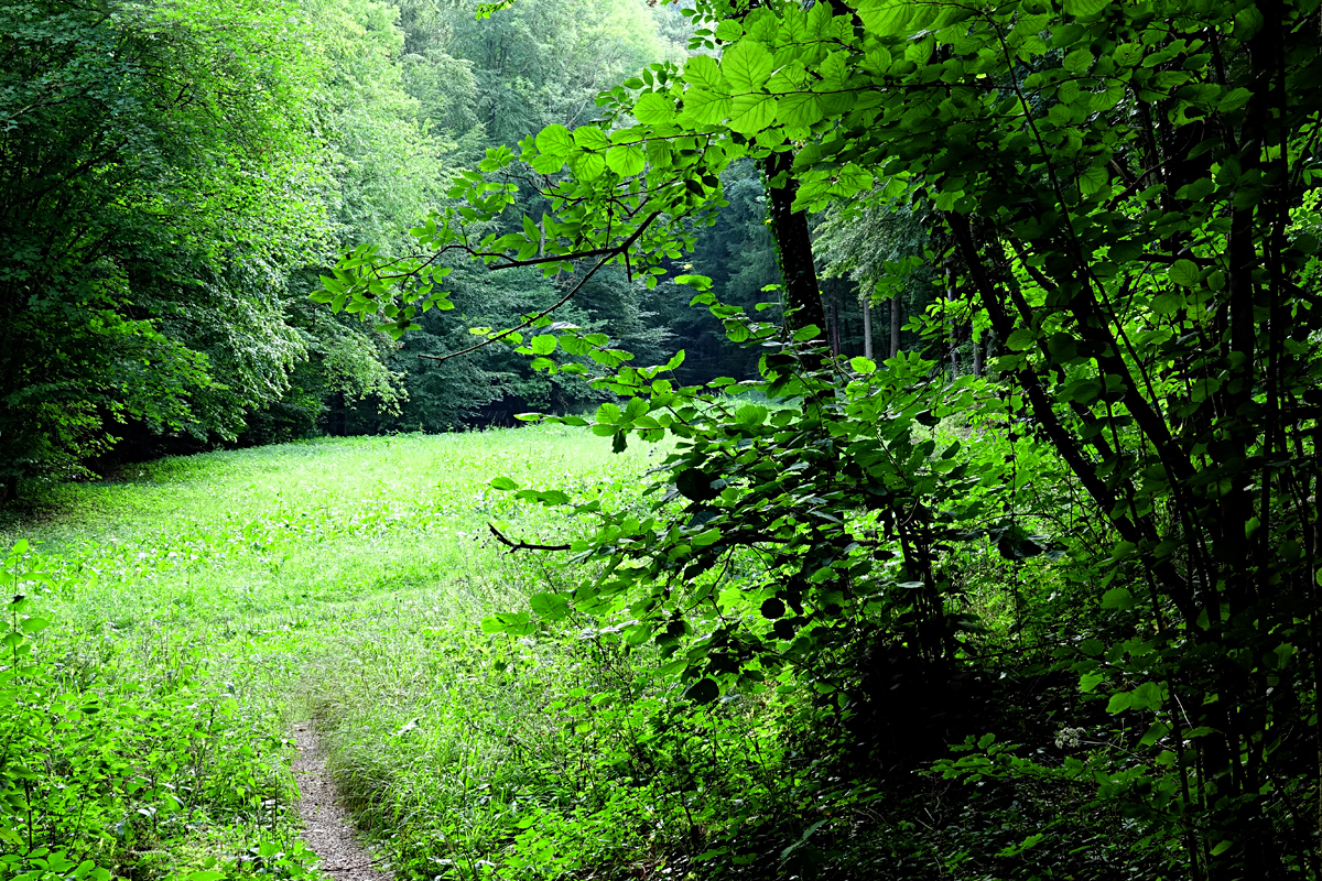 Höhle Bad Fischau
