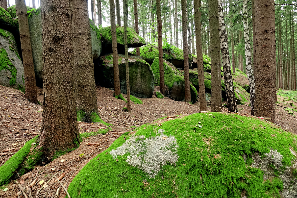 Graselhöhlen Heidenreichstein