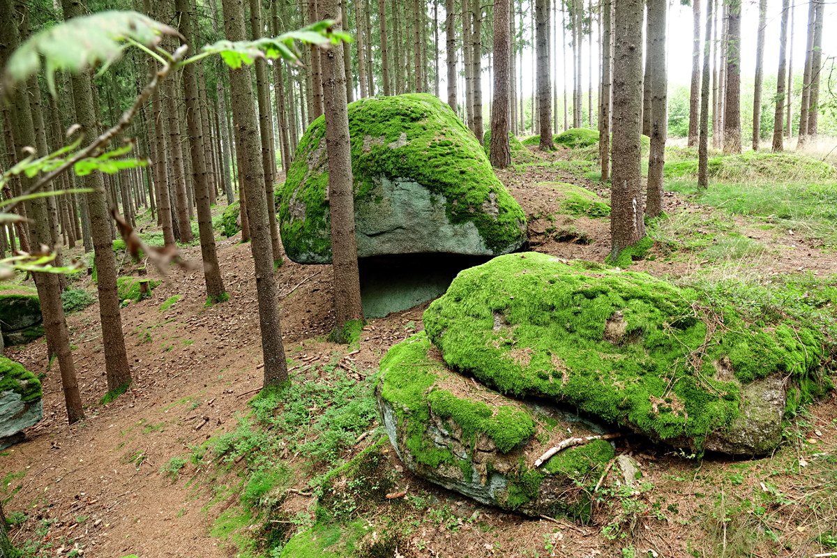 Graselhöhlen Heidenreichstein