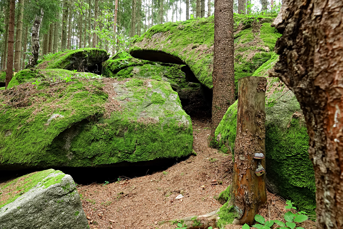 Graselhöhlen Heidenreichstein