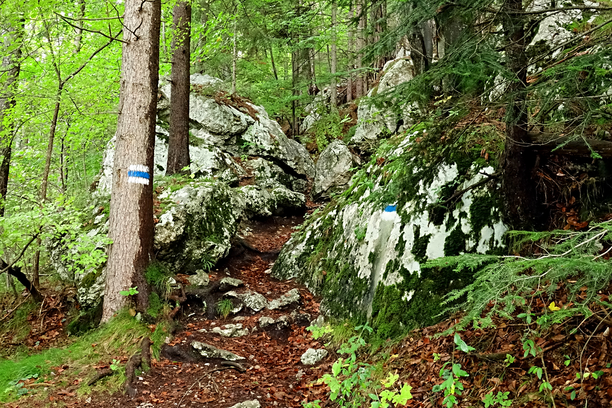 Wanderung Muggendorf