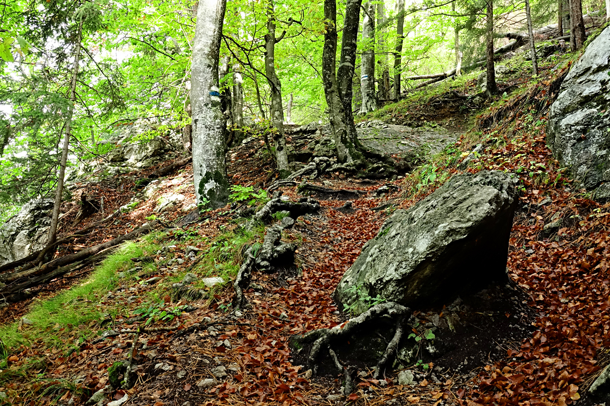 Wanderung Muggendorf