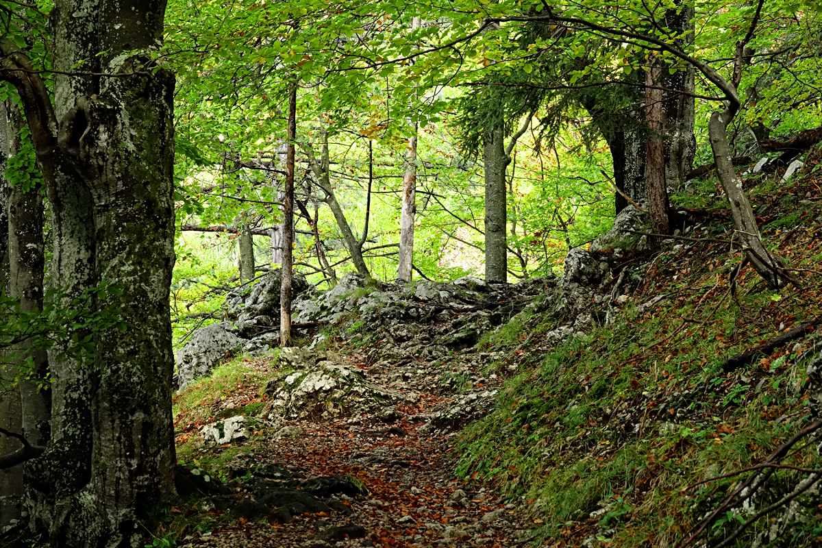 Wanderung Muggendorf