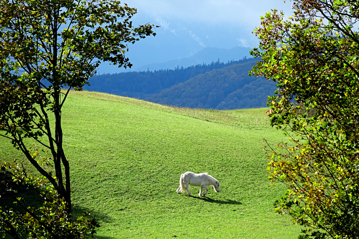 Wanderung Muggendorf