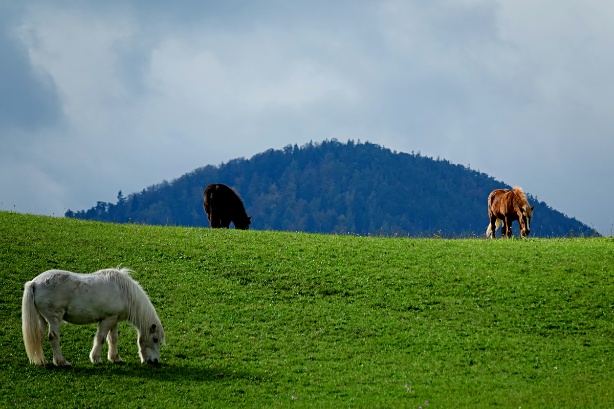 Wanderung Muggendorf