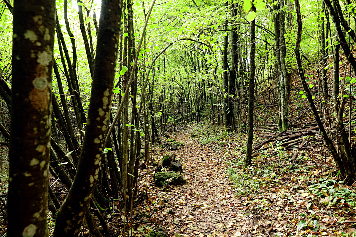 Wanderung Muggendorf