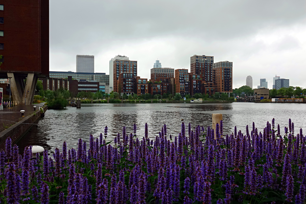 2025-07-25-Rotterdam-NED06097 Rotterdam