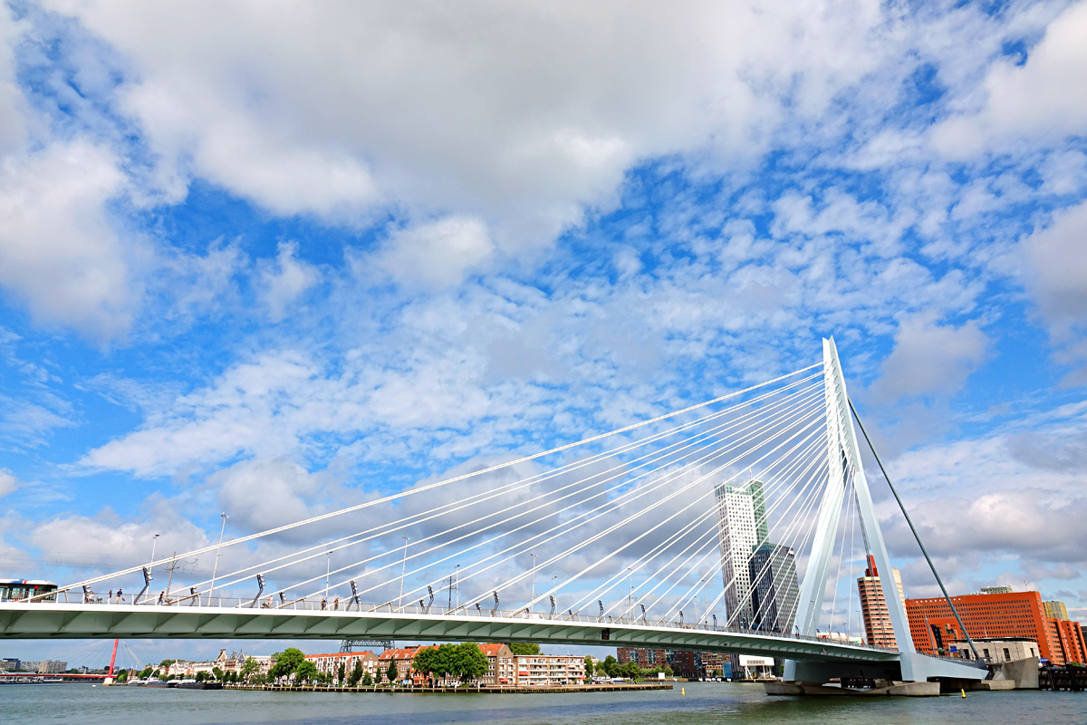 2025-07-25-Rotterdam-NED06220 Rotterdam - Hafenrundfahrt