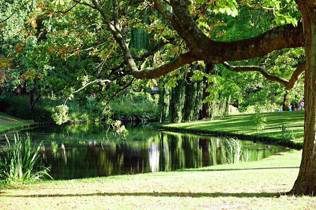 2025-07-25-Rotterdam-NED06224 Rotterdam - Het Park
