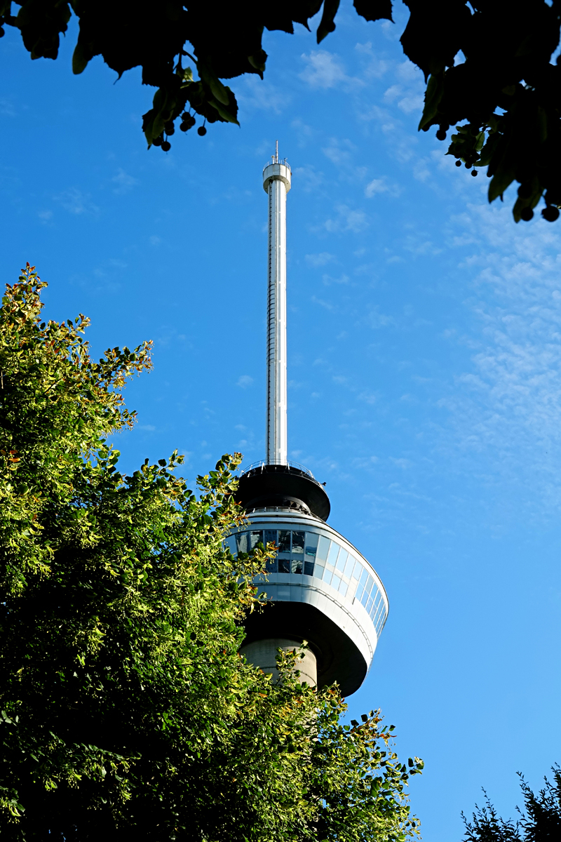 2025-07-25-Rotterdam-NED06228 Rotterdam - Euromast