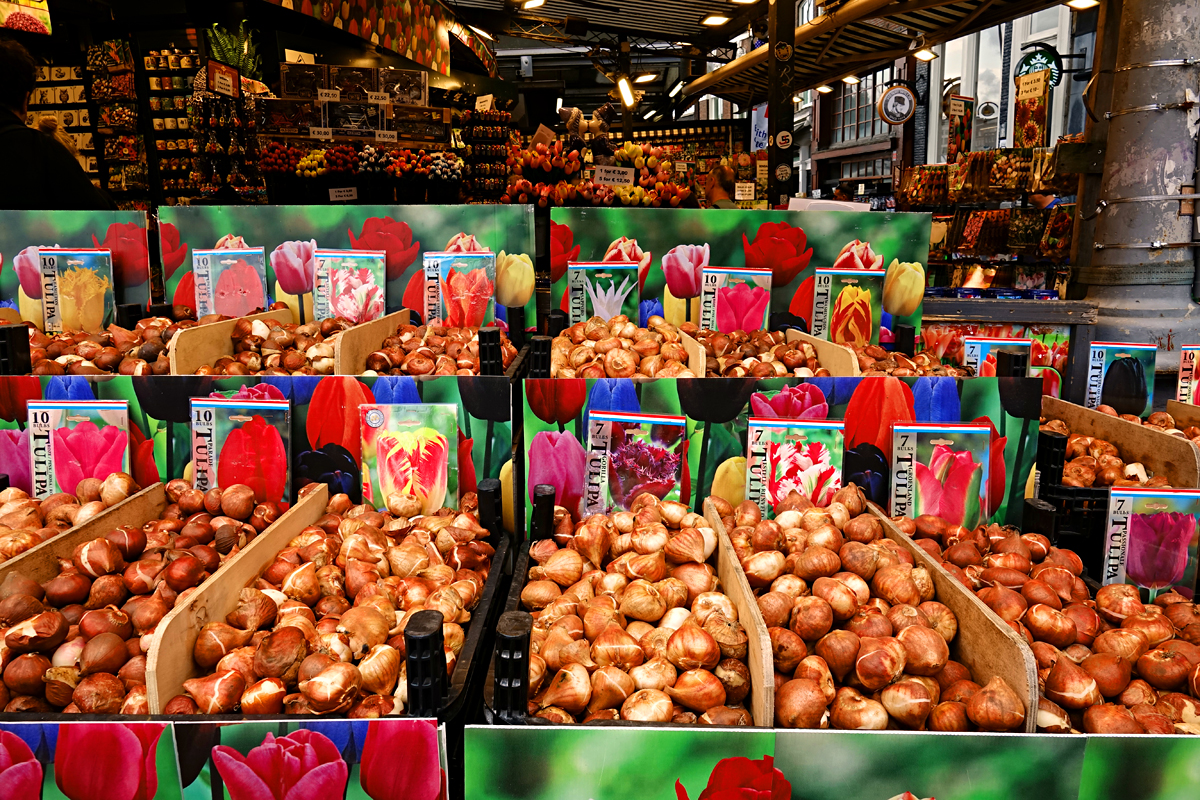 Amsterdam - Blumenmarkt