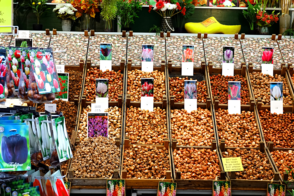 Amsterdam - Blumenmarkt
