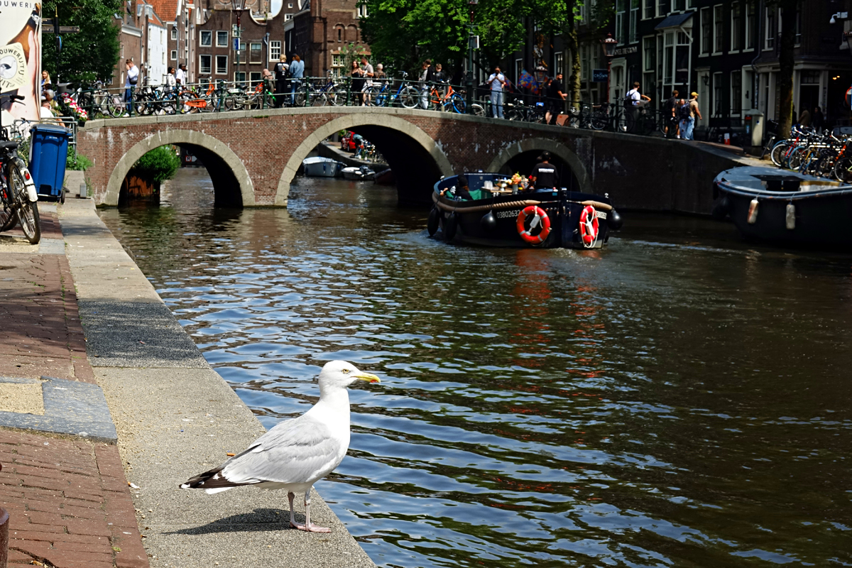 Amsterdam - Grachten