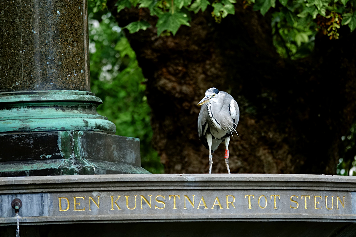 Amsterdam - Wertheimpark