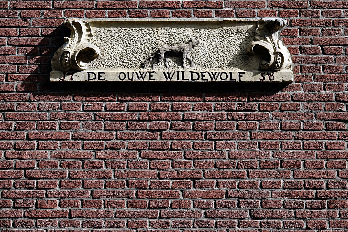 Amsterdam - Impression