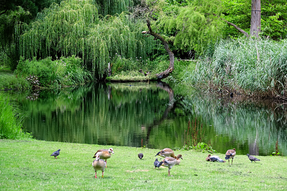 Amsterdam - Vondelpark