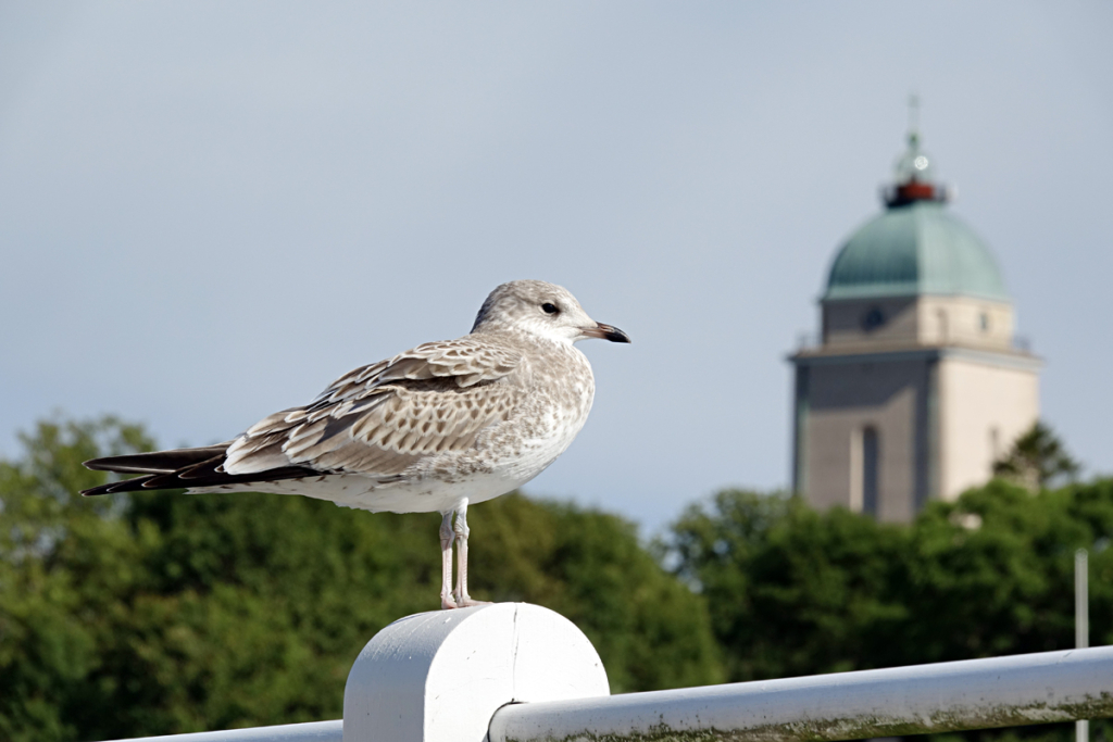 Helsinki 2025 – Suomenlinna