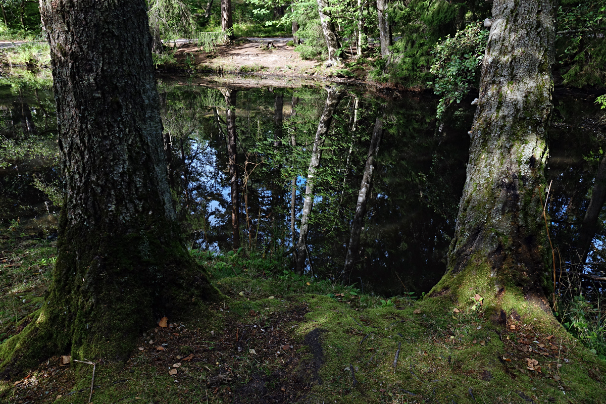 Helsinki 2025 - Seurasaari