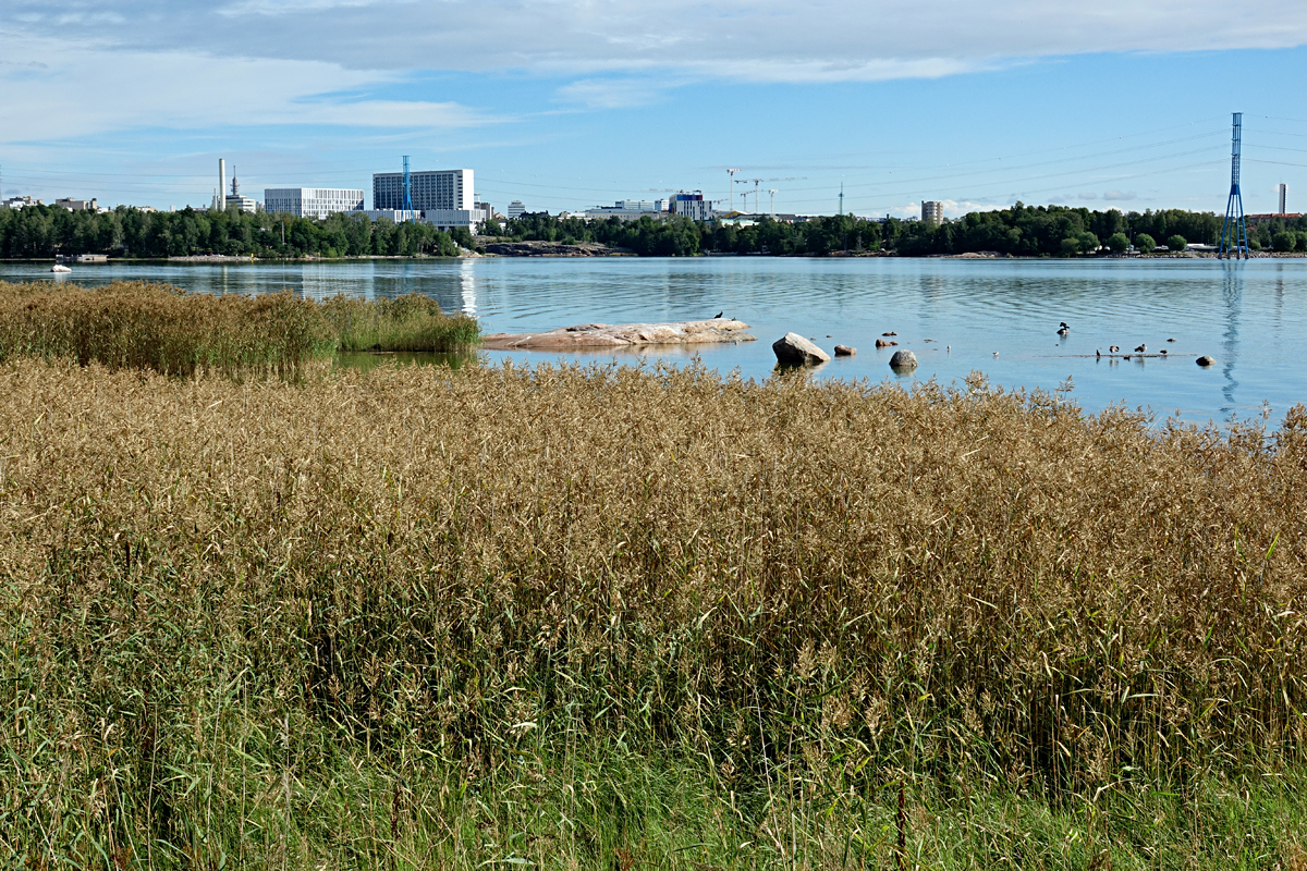Helsinki 2025 - Seurasaari