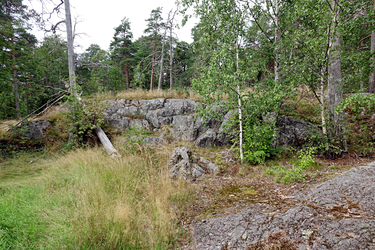 Helsinki 2025 - Seurasaari
