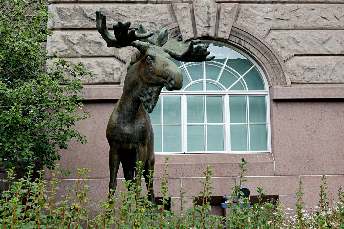 Helsinki 2025 - Naturhistorisches Museum