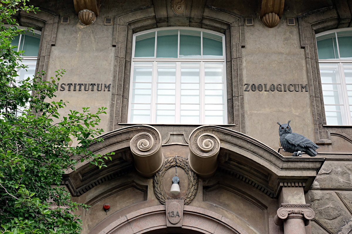 Helsinki 2025 - Naturhistorisches Museum