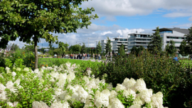 Helsinki 2025 - Hesperiapark