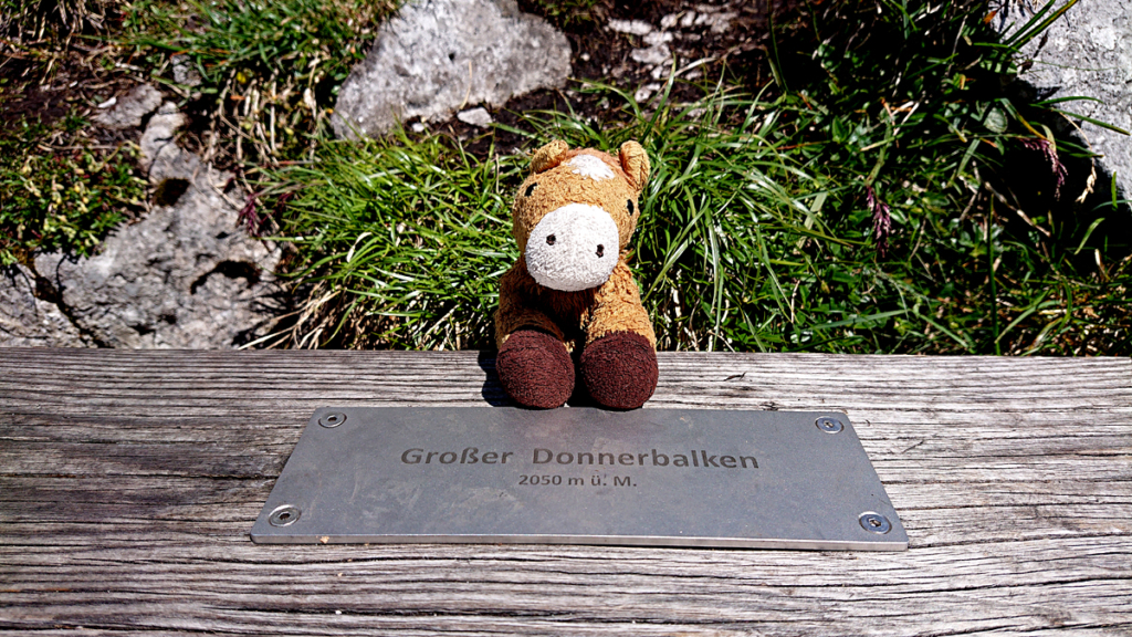 Intersport Klettersteig mit "Himmelsleiter" 2020