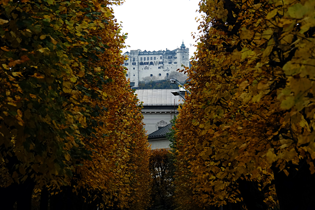 Salzburg 2020 - Festung Hohensalzburg