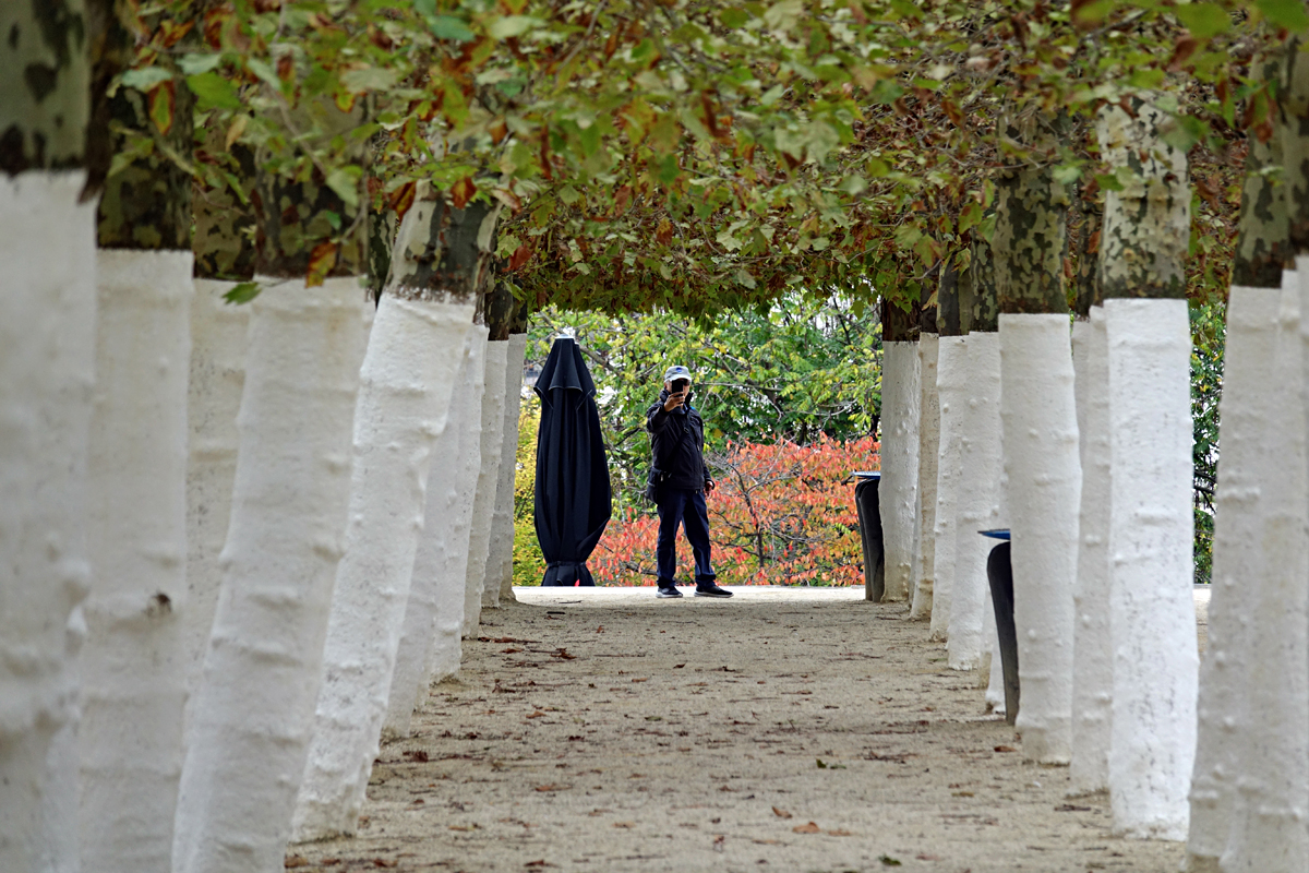 2025-10-31-Brüssel-BRU08416- Brüssel - Kunstberg