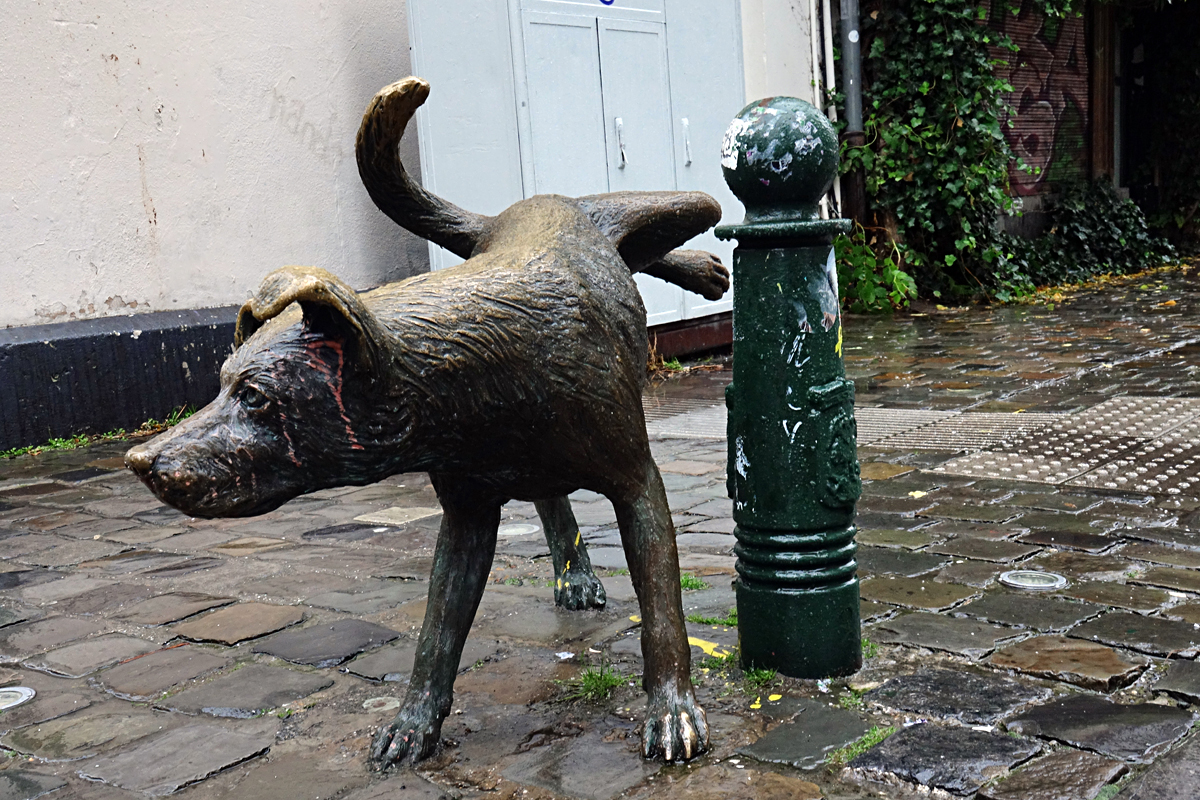 2025-11-01-Brüssel-BRU08541- Brüssel - Zinneke Pis