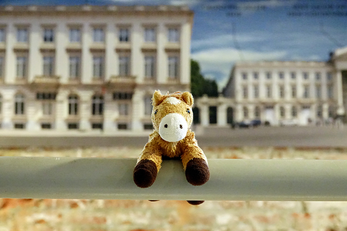 2025-11-01-Brüssel-BRU08582- Brüssel - Palais du Coudenberg