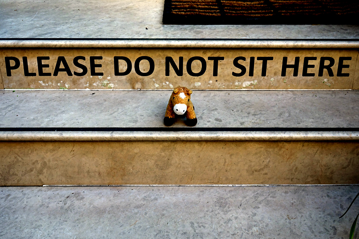 2020-01-04-London-DSC02644 Pferti - sits there