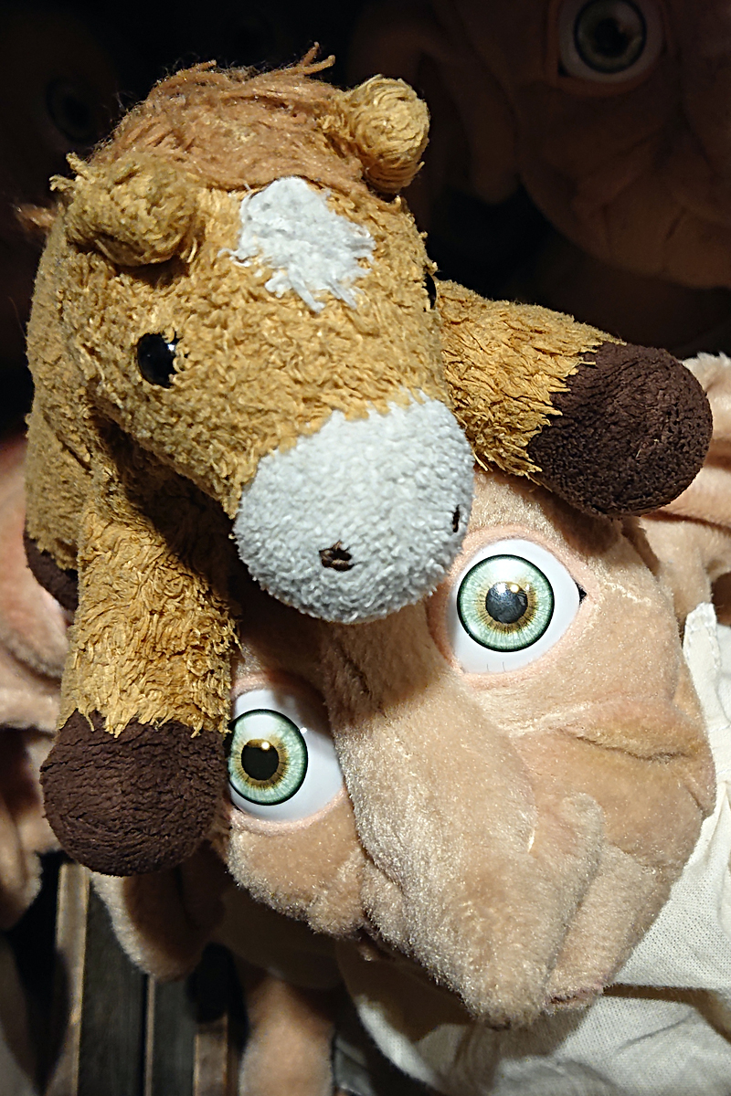 2020-01-05-London-DSC_0082 London - Pferti meets Dobby