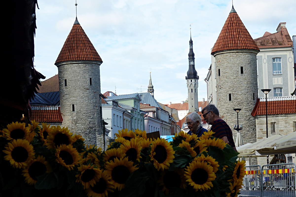 2019-09-05-Tallin-DSC01299 Tallinn 2019