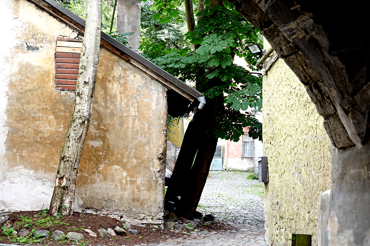 2019-09-05-Tallin-DSC01427 Tallinn 2019