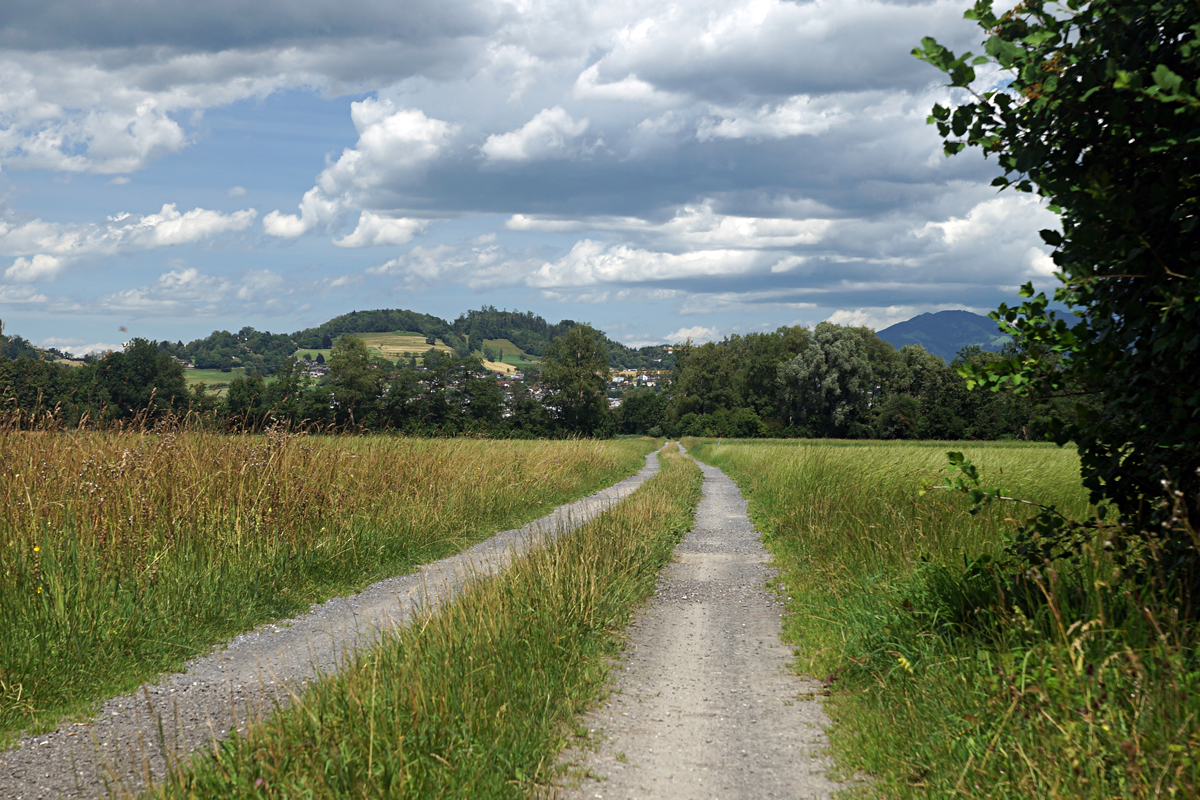 Liechtenstein Tag 3 - Rhein