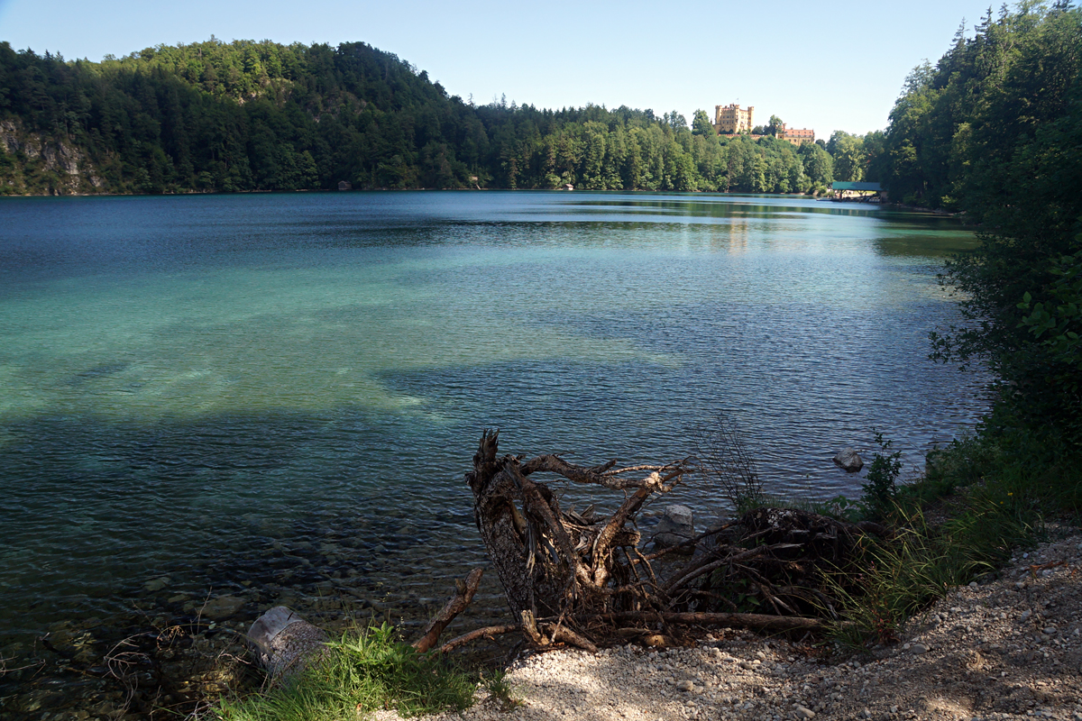 2026-06-15-Neuschwanstein-DSC08219 Schwangau 2026 - Alpsee