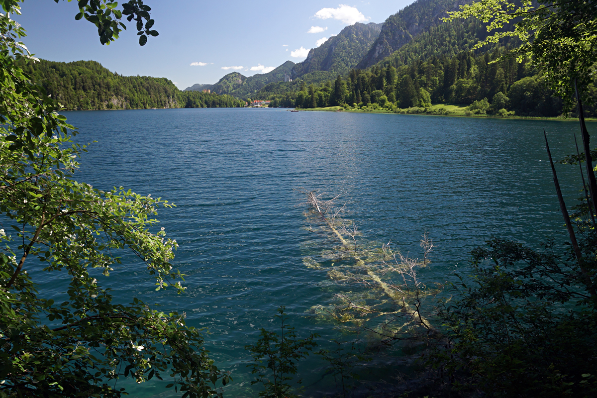 2026-06-15-Neuschwanstein-DSC08221 Schwangau 2026 - Alpsee