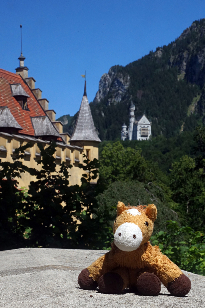 Schwangau 2026 - Schloss Hohenschwangau