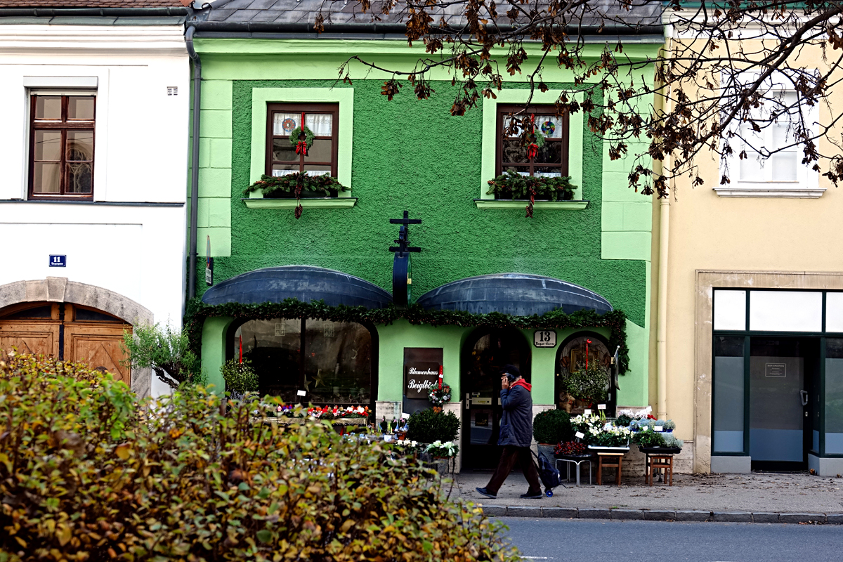 Wiener Neustadt - Ungargasse 13 (Blumenhaus Beiglböck)