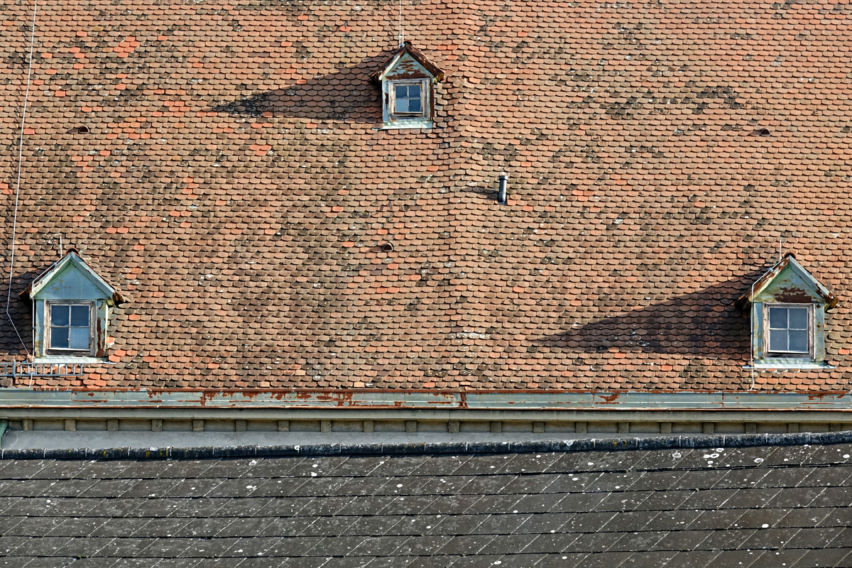 Wiener Neustadt - HLW Wiener Neustadt